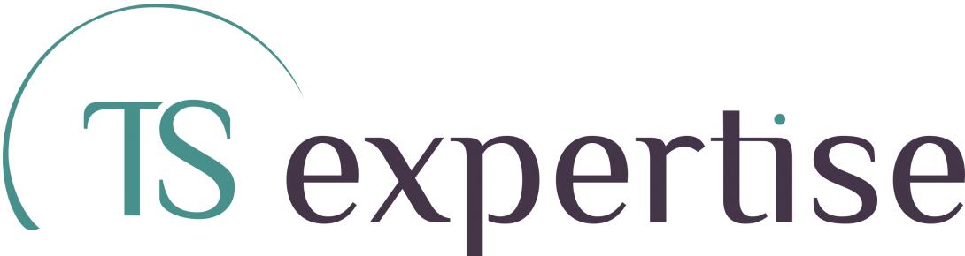 Accueil - TS Expertise